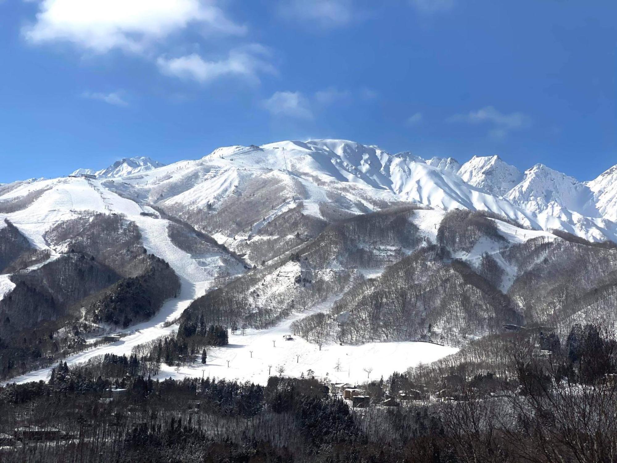 Willa Winterfell Hakuba Zewnętrze zdjęcie